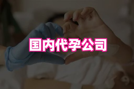 梦美助孕网 2