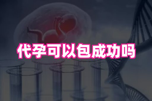 梦美助孕网 3