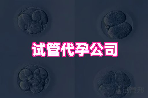 梦美助孕网 4